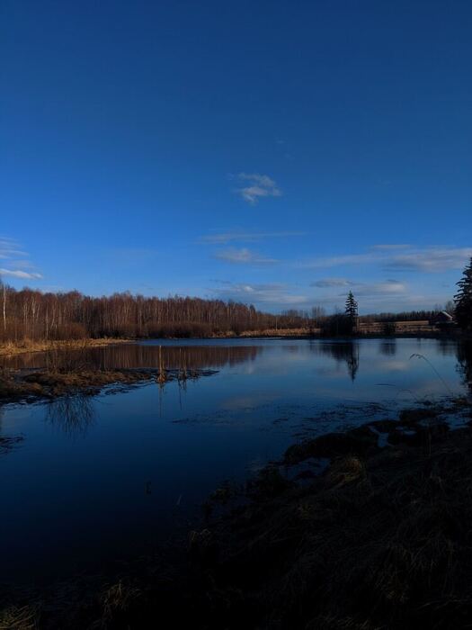 The pond at dusk, reflecting the trees and the last of the light